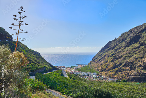 Fotografi Scenic view of banana plantations around Los Llanos, La Palma in Spain