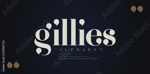 Elegant alphabet letters font. Classic Modern Serif Lettering Minimal Fashion Designs. Typography  decoration fonts for branding, wedding, invitations, logos. vector illustration