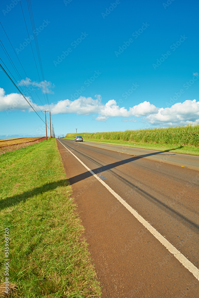 A vehicle in the distance riding on an open highway road leading through agricultural farms. Landscape of growing pineapple plantation field with blue sky, clouds, and copy space in Oahu, Hawaii, USA