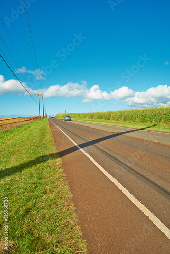 A vehicle in the distance riding on an open highway road leading through agricultural farms. Landscape of growing pineapple plantation field with blue sky, clouds, and copy space in Oahu, Hawaii, USA