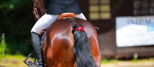 Obraz na plátně Horse from behind in the tournament, close-up red bow in the tail, attention horse kicks