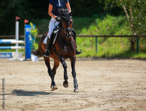 Horse galloping from the front, with rider between two jumps in the show jumping competition..