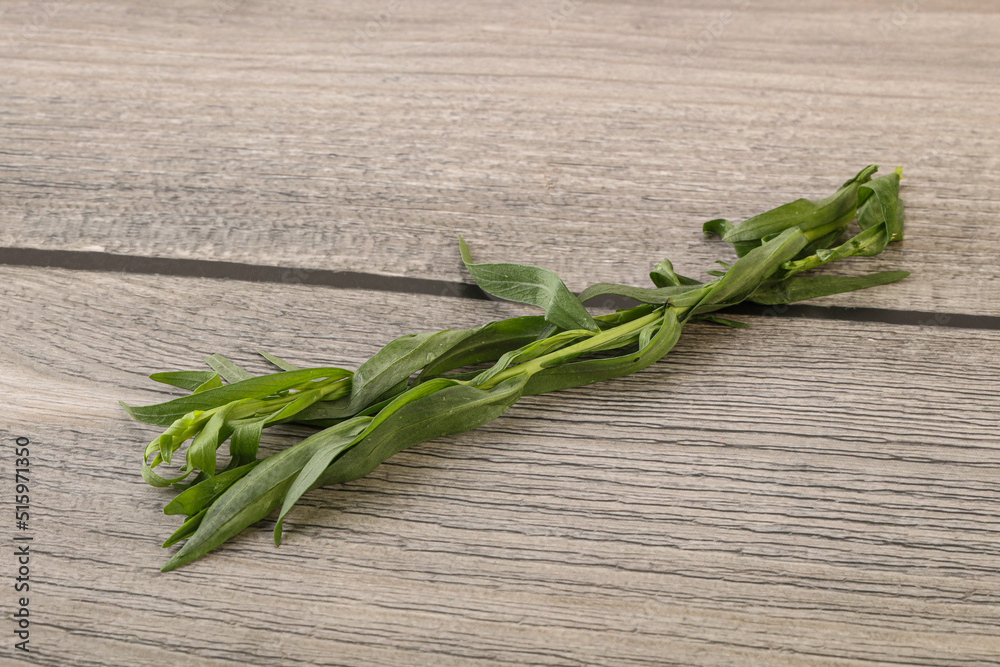 Green tarragon herb spice for cooking Green tarragon herb spice for cooking