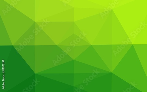 Light Green vector low poly cover.