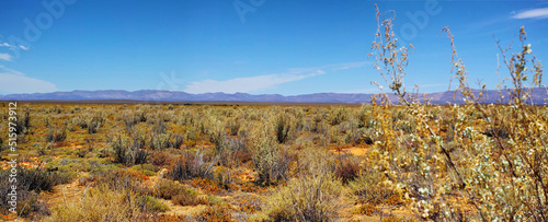 Dry highland savanna on a sunny day in South Africa with a copyspace and sky background. An empty landscape of dry, barren grassland and sharp, thorny bushes and copy space. An open field of shrubs photo