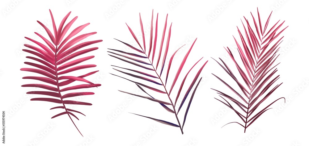 A set of tropical leaves. Watercolor realistic palm leaves.