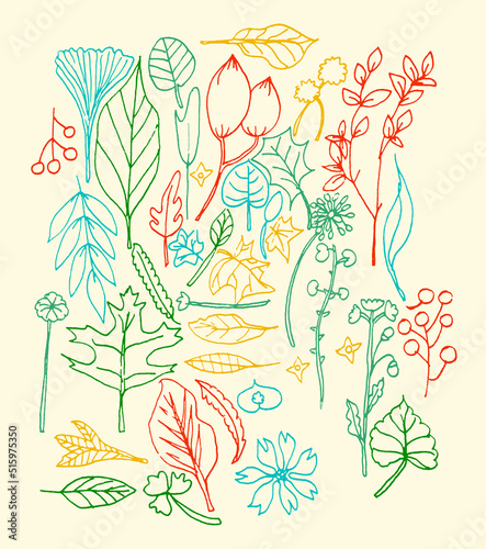 Set di foglie e fiori colorati, elementi colorati su sfondo crema photo