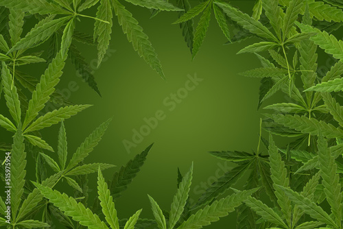 Marijuana leaf  Green color background. Decorate for ad  poster  template print  artwork