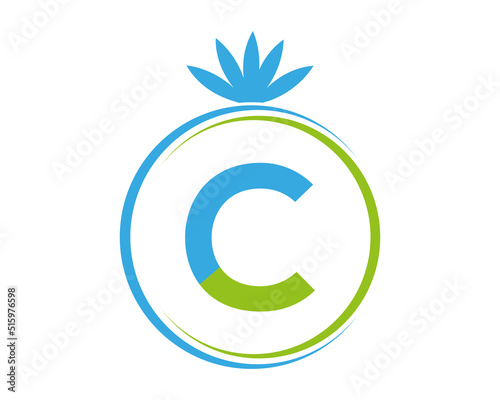 Letter C Leaf Logo Design Template Vector