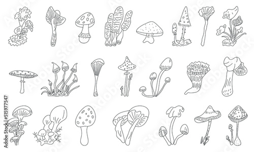 set of black outline mushrooms on white background