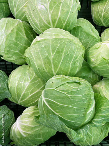 山積みのキャベツ