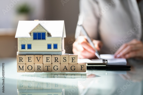 House Model Over Reverse Mortgage Blocks