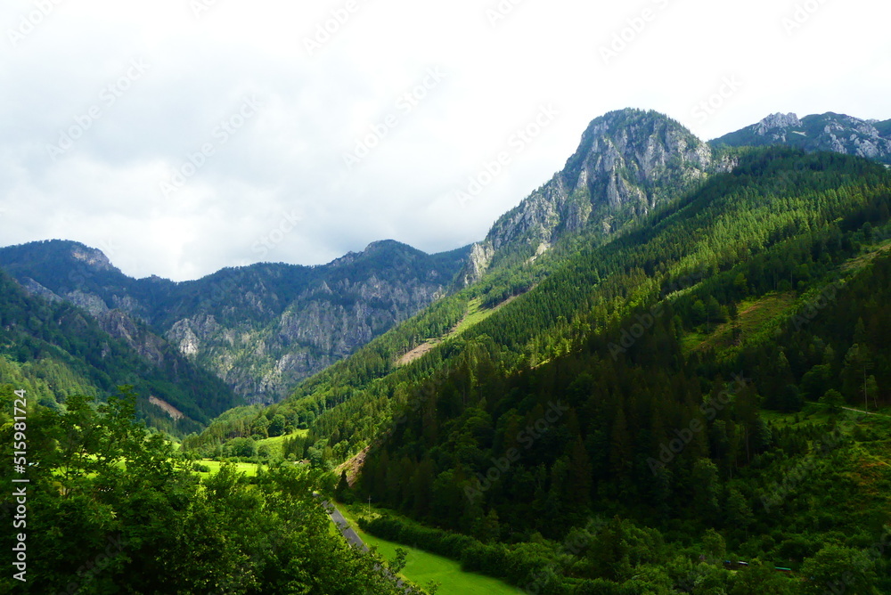 Alpenlandschaft Radmertal
