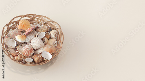 High angle, panoramic view of starfish and shells, isolated on white background, selective focus, space for text