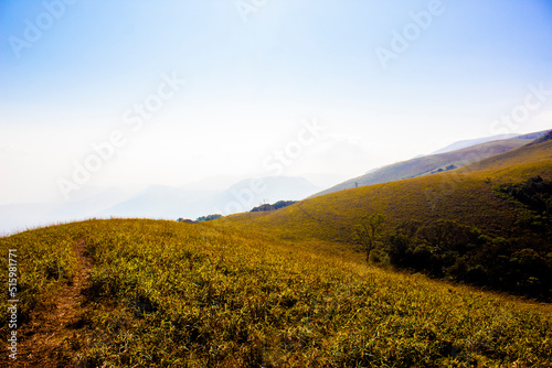 landscape in the mountains