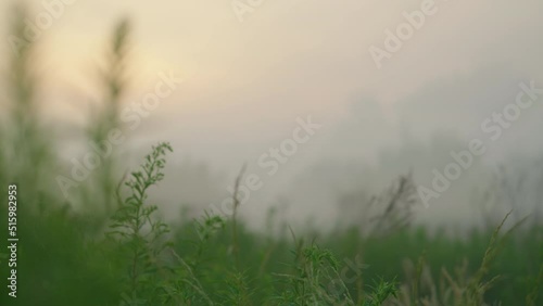 foggy morning field for advertising. High quality 4k footage