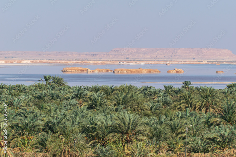 View of the coast of the island of island at siwa, Egypt