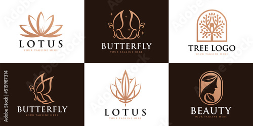 Set lotus, butterfly, woman feminine logo design template