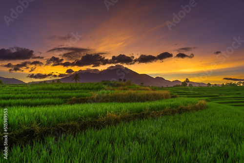 panoramic indonesia view of green rice terraces and mountains when the morning shines