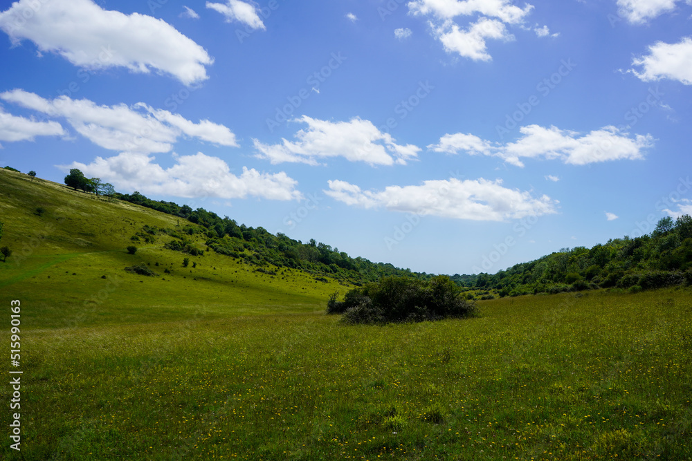 Wide countryside view of green grass and hills Wide countryside view of green grass and hills