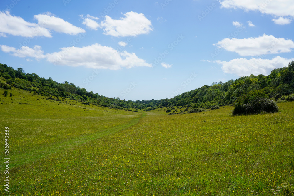 Wide countryside view of green grass and hills Wide countryside view of green grass and hills
