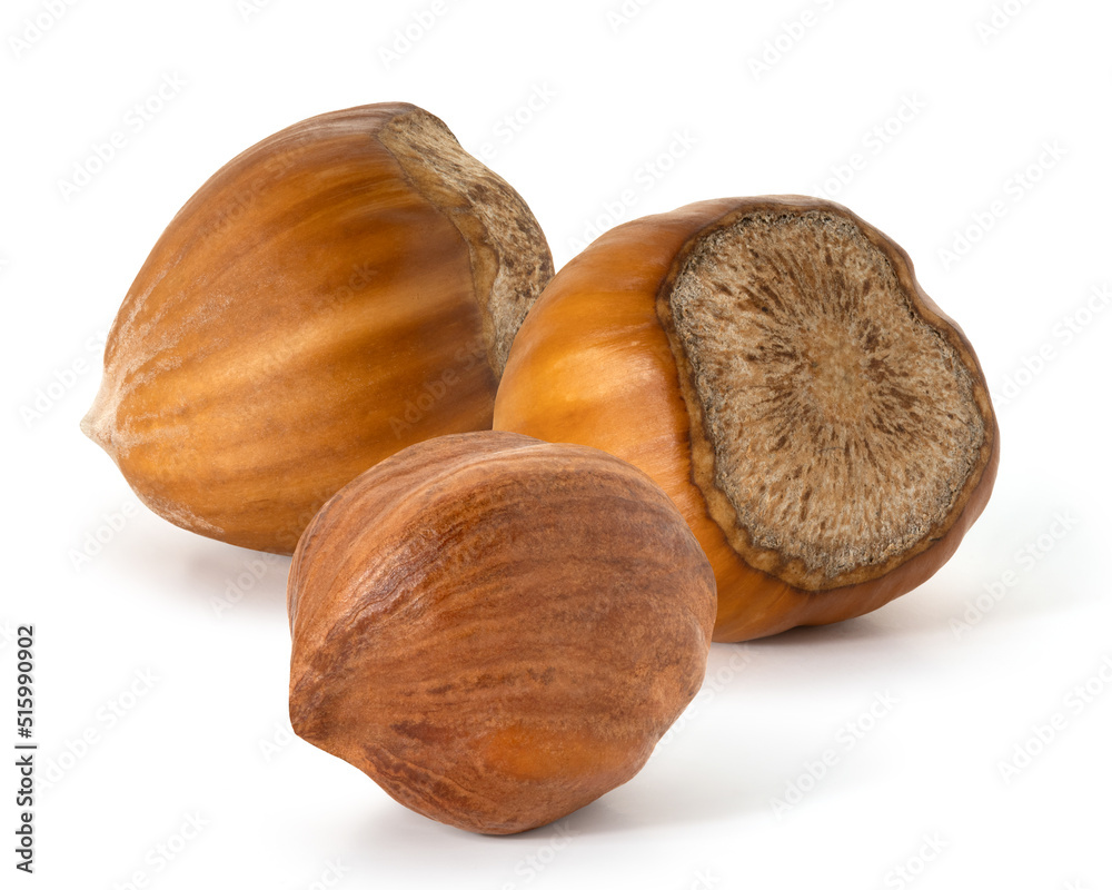 Three nuts hazelnut not purified and purified on white background. Full depth of field. With clipping path Three nuts hazelnut not purified and purified on white background. Full depth of field. With clipping path