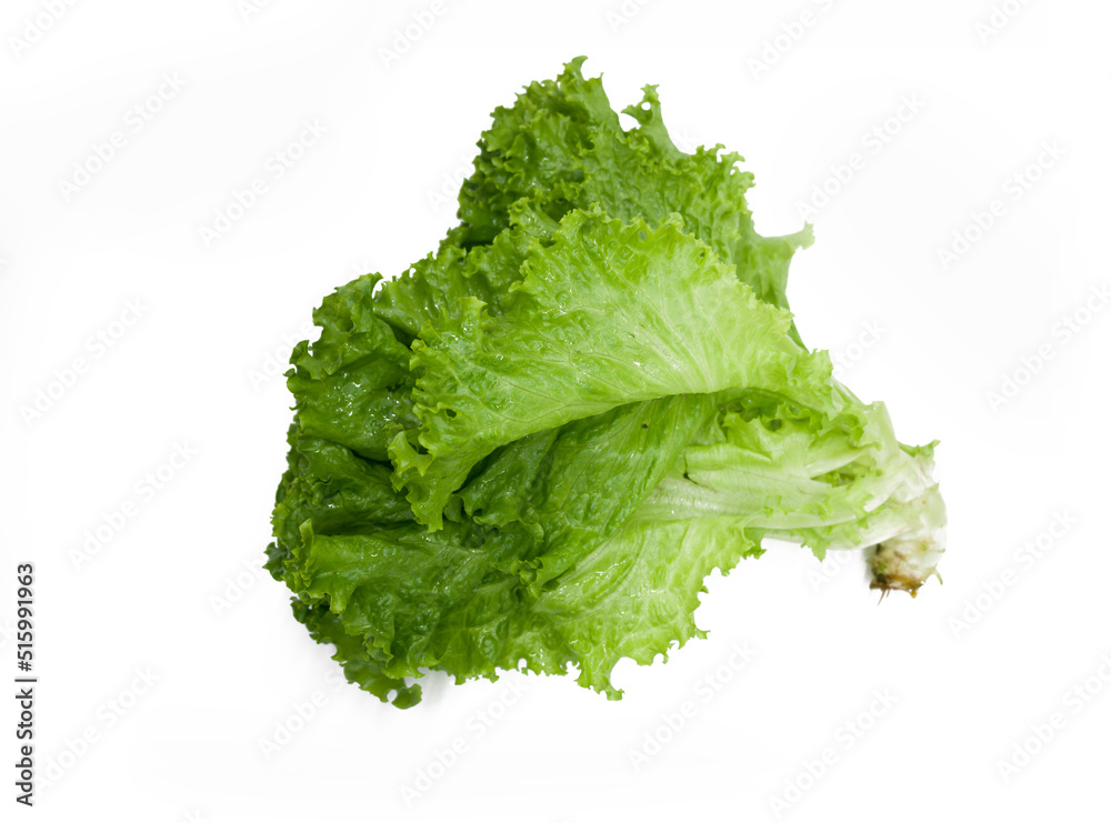 Fresh lettuce leaf isolated on white background Fresh lettuce leaf isolated on white background