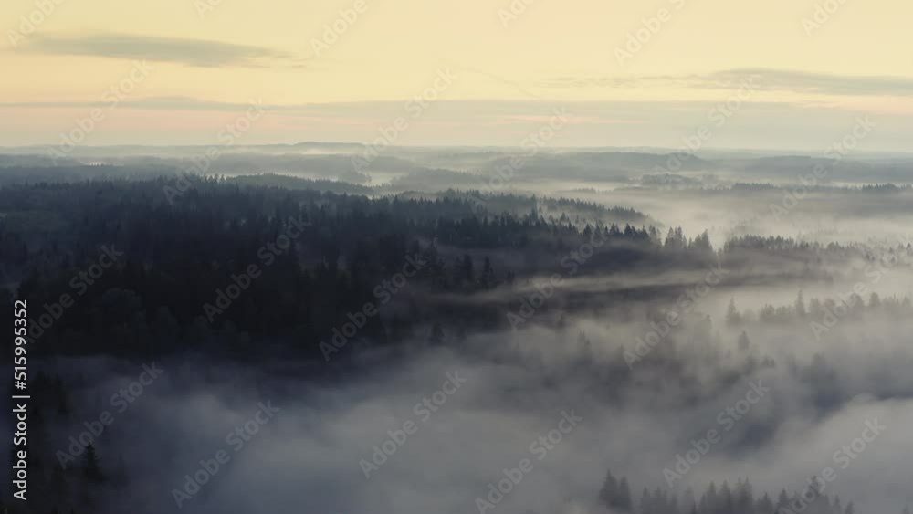 High flight over the thick summer morning fog. Aerial drone view. High flight over the thick summer morning fog. Aerial drone view.