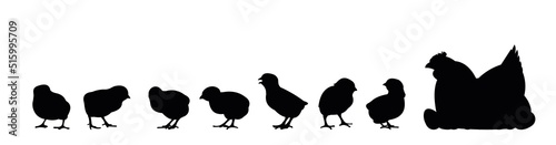 Set of Chickens. Scenery silhouette. Agricultural farm bird. Mother hen incubates eggs. Object isolated on white background. Vector
