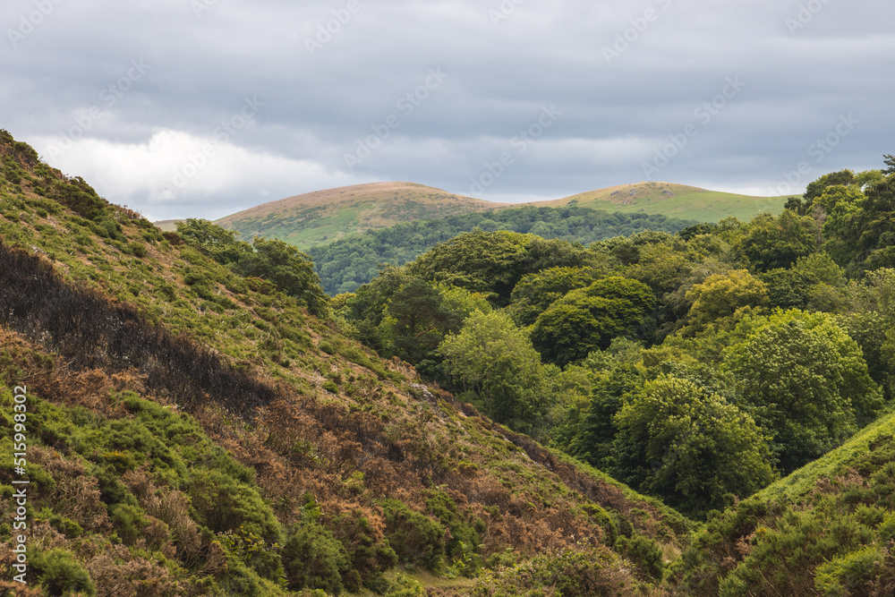 Obraz premium Shropshire hills