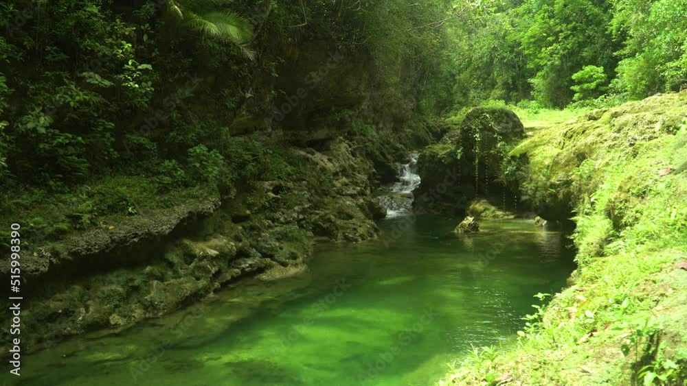 River and tropical rainforest in summer day. Bohol, Philippines. Danicop Ticugan Spring. River and tropical rainforest in summer day. Bohol, Philippines. Danicop Ticugan Spring.