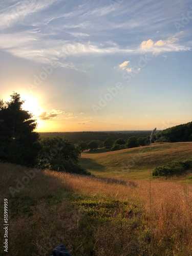 sunset over the field