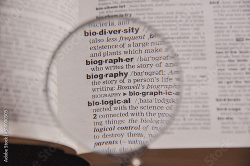 The definition of the word Biography in a dictionary, under magnifying glass, translator and language concept