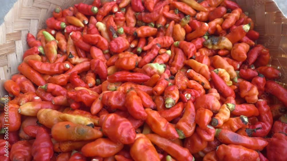 Cayenne pepper (Capsicum frutescens) is a fruit and plant member of the genus Capsicum whose fruit grows towering upwards. Cayenne pepper (Capsicum frutescens) is a fruit and plant member of the genus Capsicum whose fruit grows towering upwards.