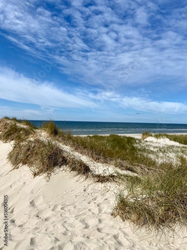 beach and sea