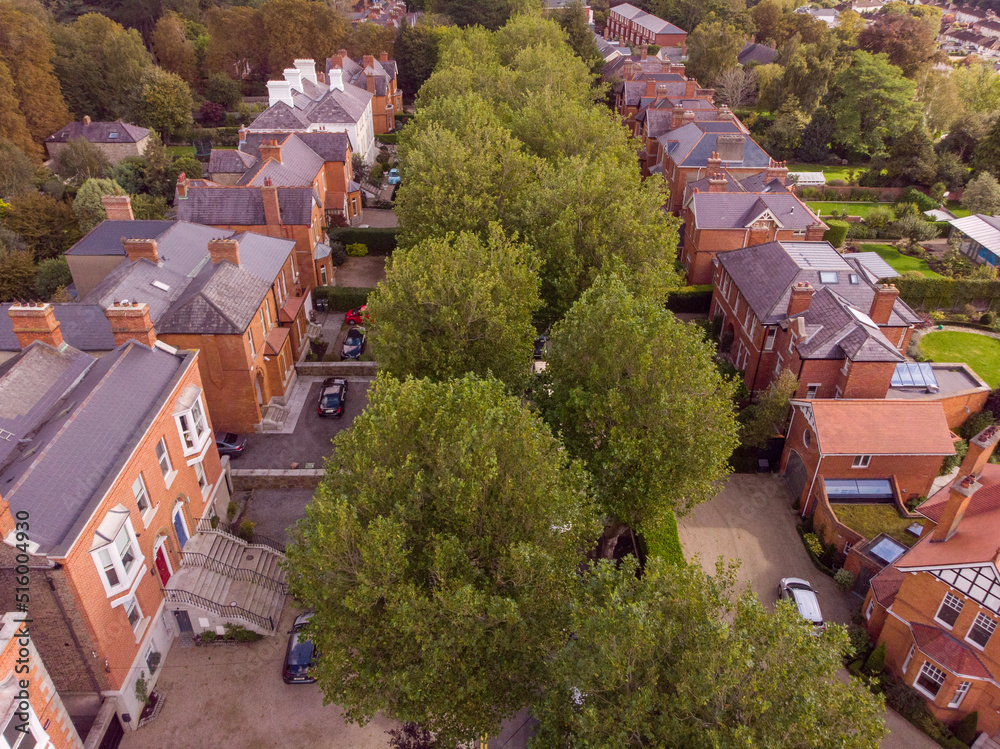 Fototapeta premium Aerial view of Dublin trees and house