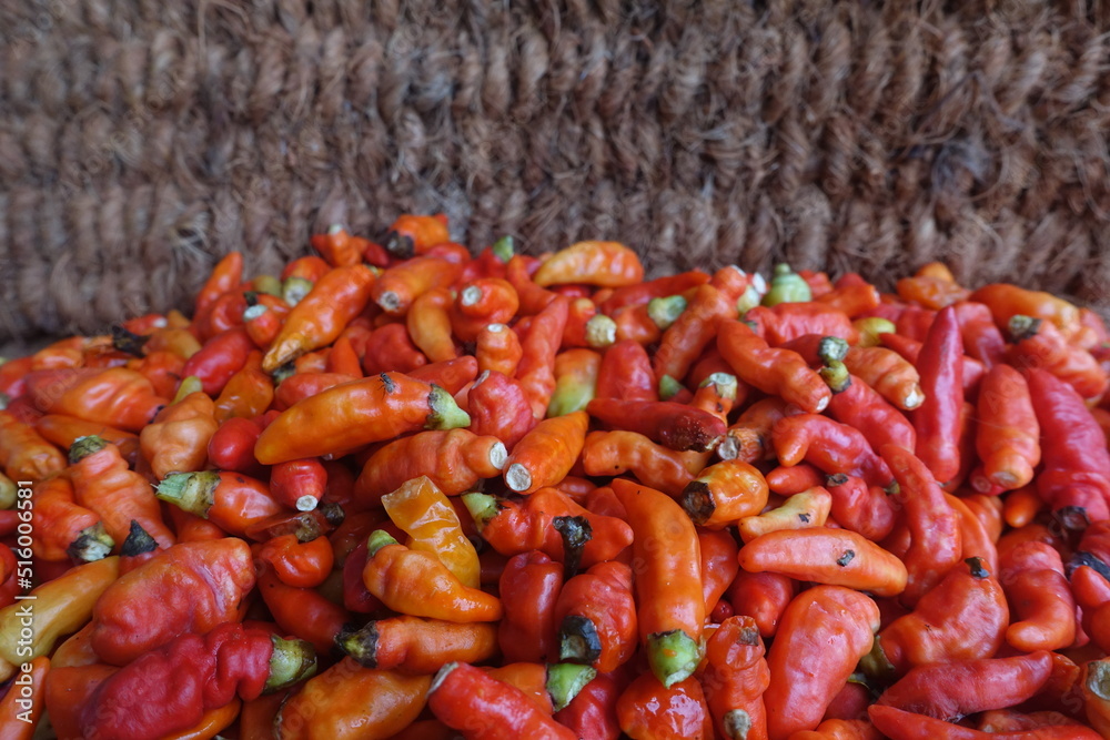 Cayenne pepper (Capsicum frutescens) is a fruit and plant member of the