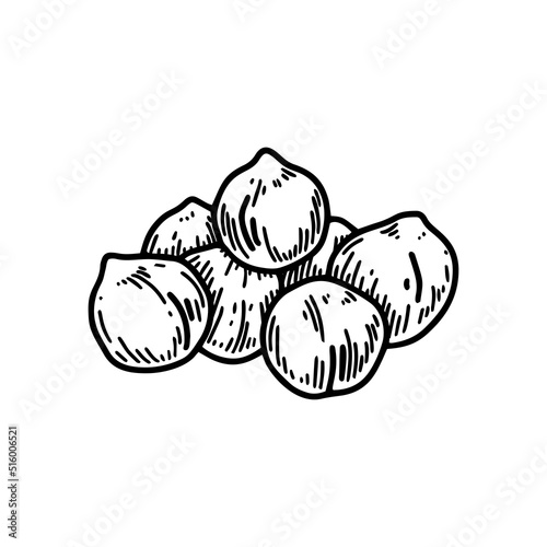 Hand drawn handful of chickpeas beans. Botany vector illustration in sketch style