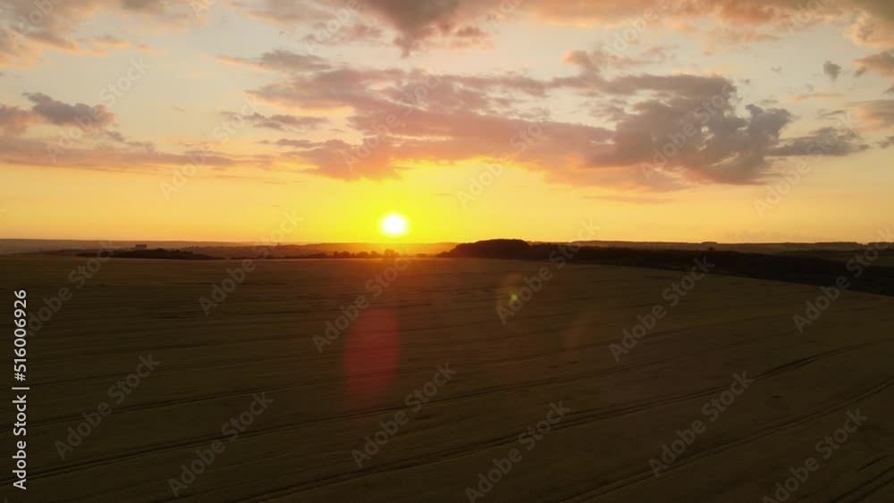 Aerial landscape view of yellow cultivated agricultural field with ripe wheat on vibrant summer evening Aerial landscape view of yellow cultivated agricultural field with ripe wheat on vibrant summer evening