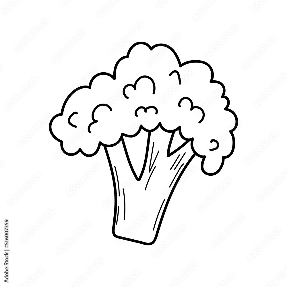 Vector illustration of doodle broccoli. Vector illustration of doodle broccoli.
