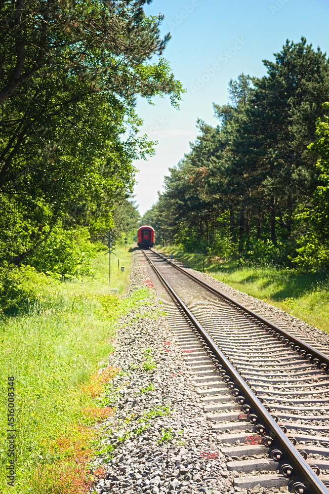 Fototapeta premium railway in the forest on the Hel Peninsula