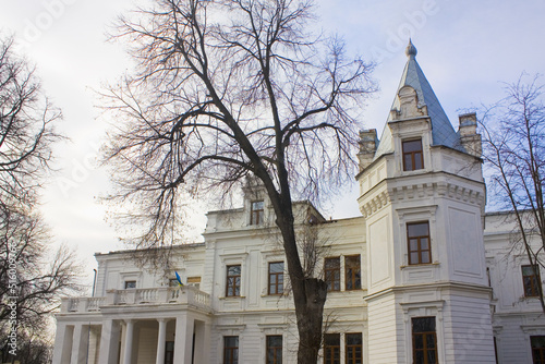 Palace of Berzhinsky-Tereshchenko in Andrushivka, Zhytomyr region, Ukraine photo