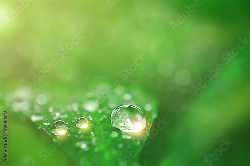  drops of water on a blade of grass