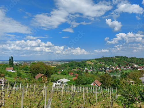 view to Virovitica from Milanovac hills - green landscape of Croatia photo