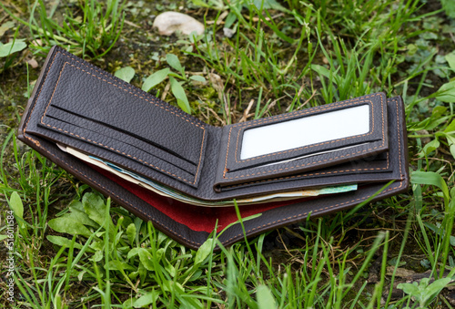 Lost Wallet with money on a grass