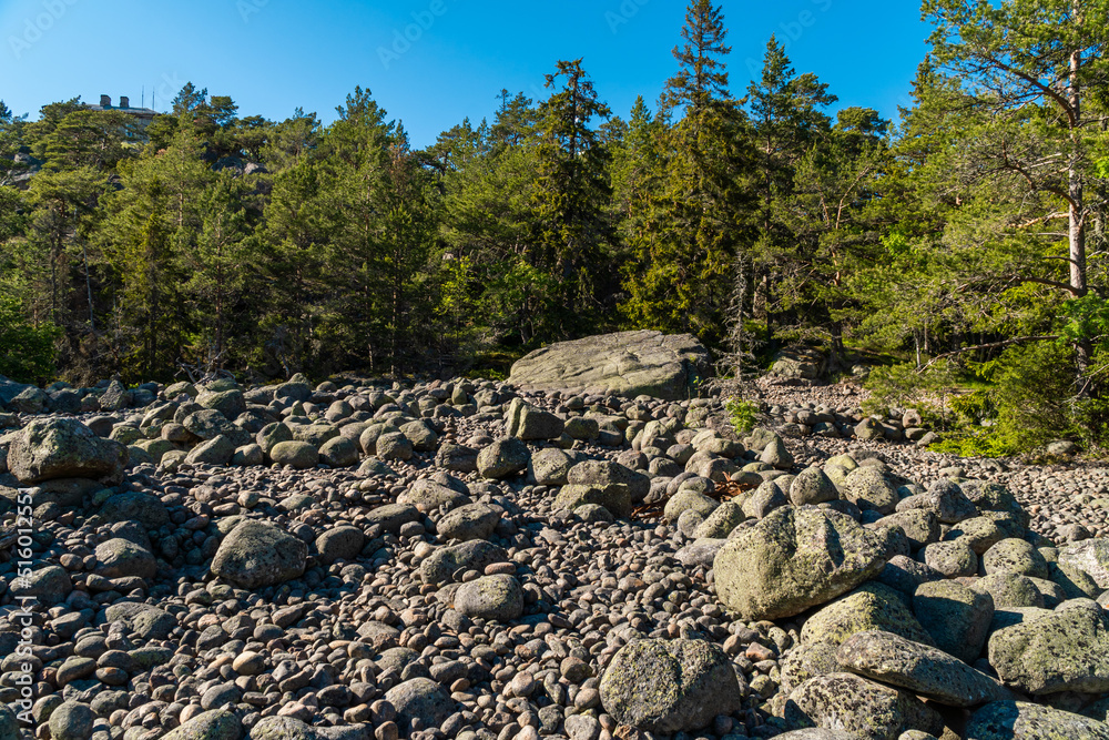 Russia. June 7, 2022. A stone river of boulders on the island of Gogland in the Gulf of Finland.