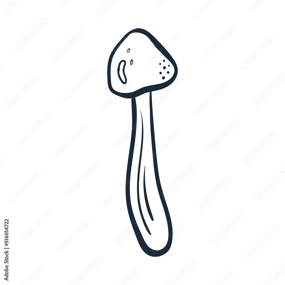 Mushroom line art . Vector illustration with doodles on the theme of cozy autumn.A cute element for greeting cards, posters, stickers and seasonal design. Isolated on a white background.