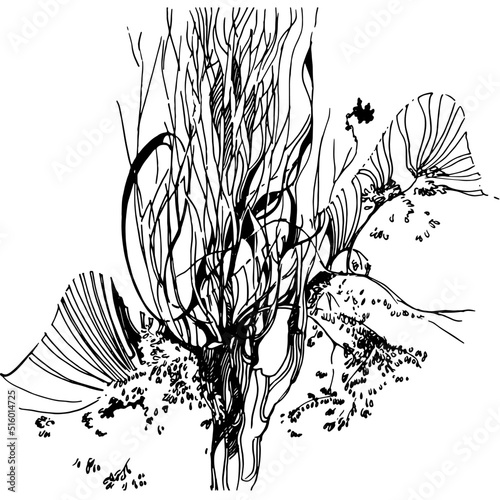 Wood, Hand-drawn graphic drawing. Black and white abstraction of lines and strokes. Esotericism and psychology. Associative graphics