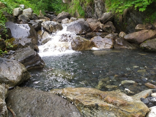 stream in the forest