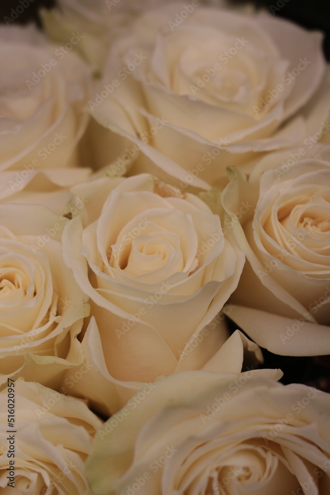 wedding bouquet of roses wedding bouquet of roses